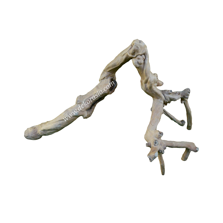 Coffee Wood (Size M) for Jungle Gym Reptile, Vivariums Reptile, Aquarium, Aquascaping